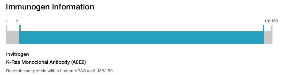 K-Ras Monoclonal Antibody (A8E6)
