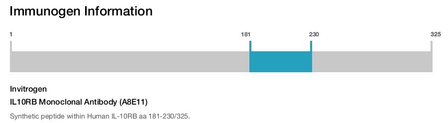 IL10RB Monoclonal Antibody (A8E11)