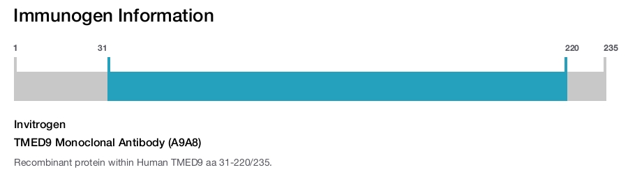 TMED9 Monoclonal Antibody (A9A8)
