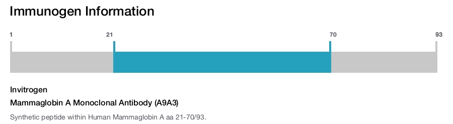 Mammaglobin A Monoclonal Antibody (A9A3)