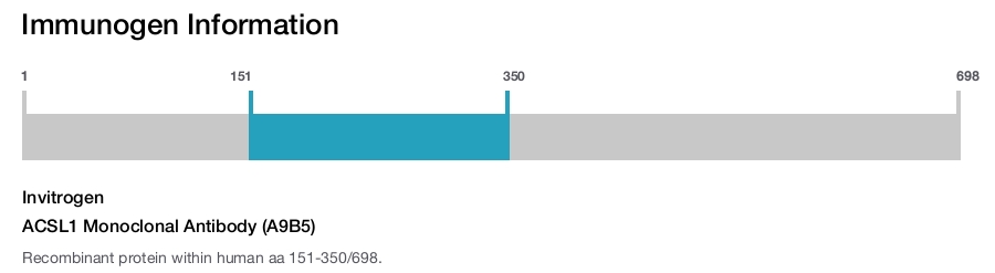 ACSL1 Monoclonal Antibody (A9B5)