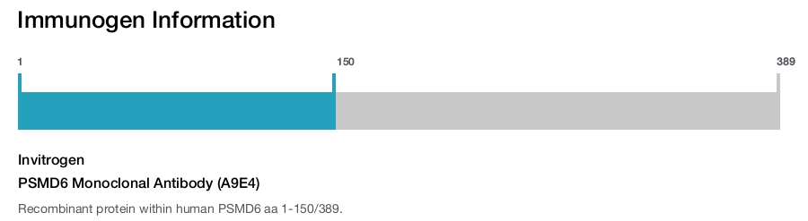 PSMD6 Monoclonal Antibody (A9E4)