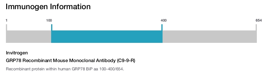 GRP78 Recombinant Mouse Monoclonal Antibody (C9-9-R)