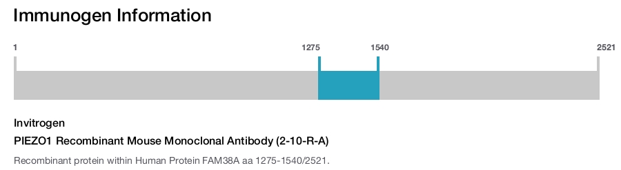 PIEZO1 Recombinant Mouse Monoclonal Antibody (2-10-R-A)