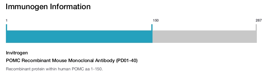 POMC Recombinant Mouse Monoclonal Antibody (PD01-40)