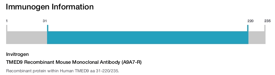 TMED9 Recombinant Mouse Monoclonal Antibody (A9A7-R)