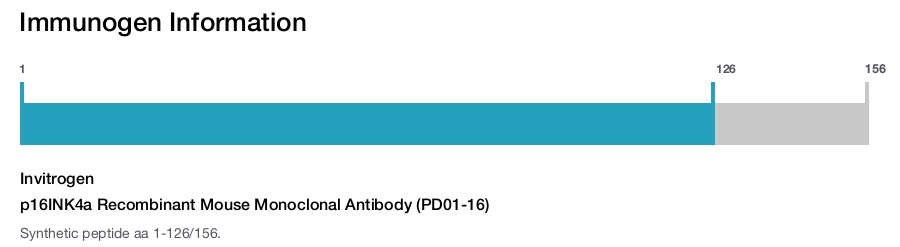 p16INK4a Recombinant Mouse Monoclonal Antibody (PD01-16)
