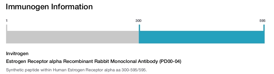 Estrogen Receptor alpha Recombinant Rabbit Monoclonal Antibody (PD00-04)