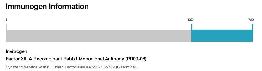 Factor XIII A Recombinant Rabbit Monoclonal Antibody (PD00-08)