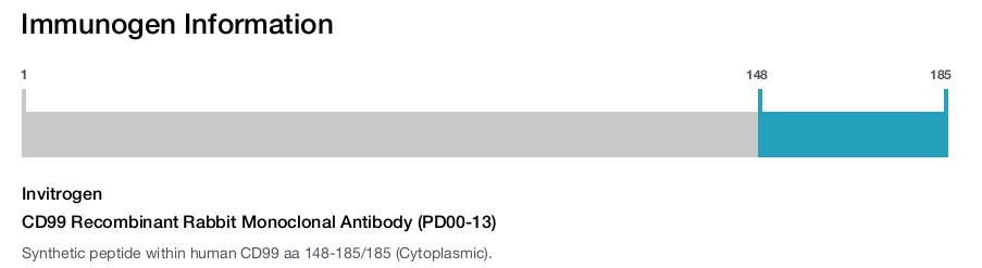 CD99 Recombinant Rabbit Monoclonal Antibody (PD00-13)