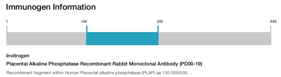Placental Alkaline Phosphatase Recombinant Rabbit Monoclonal Antibody (PD00-19)