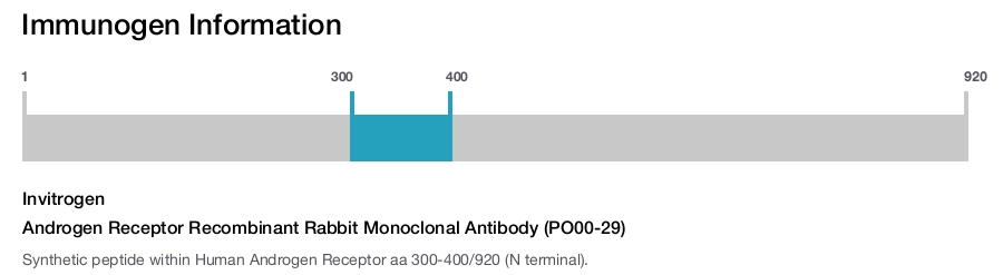Androgen Receptor Recombinant Rabbit Monoclonal Antibody (PO00-29)