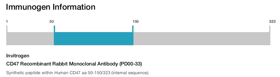 CD47 Recombinant Rabbit Monoclonal Antibody (PD00-33)