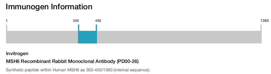 MSH6 Recombinant Rabbit Monoclonal Antibody (PD00-26)