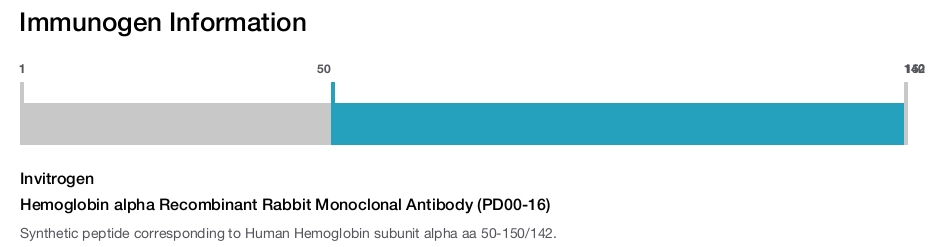 Hemoglobin alpha Recombinant Rabbit Monoclonal Antibody (PD00-16)