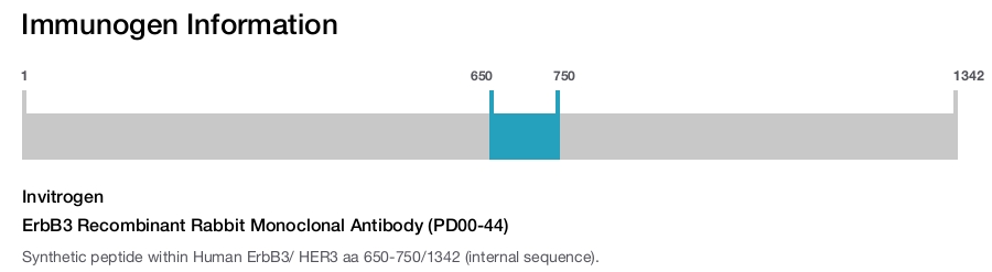 ErbB3 Recombinant Rabbit Monoclonal Antibody (PD00-44)