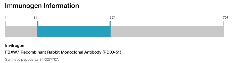 FBXW7 Recombinant Rabbit Monoclonal Antibody (PD00-51)