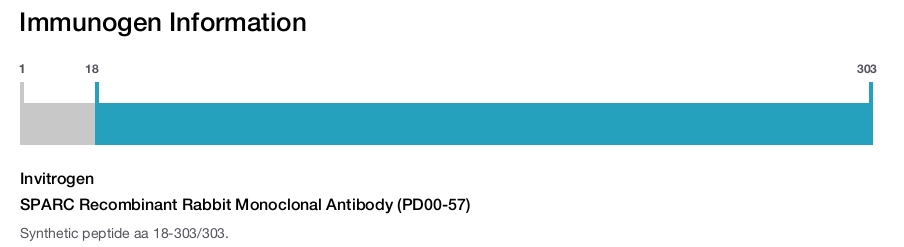 SPARC Recombinant Rabbit Monoclonal Antibody (PD00-57)