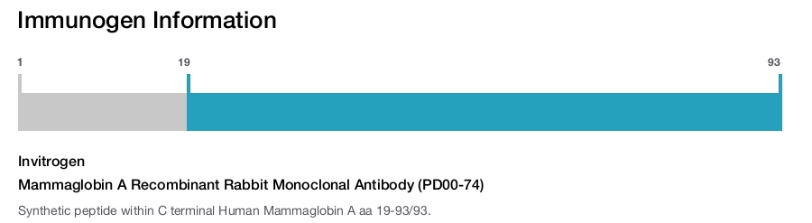 Mammaglobin A Recombinant Rabbit Monoclonal Antibody (PD00-74)