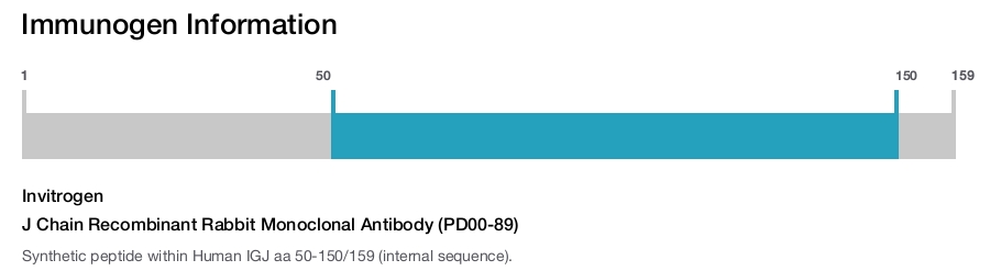 J Chain Recombinant Rabbit Monoclonal Antibody (PD00-89)