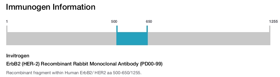 ErbB2 (HER-2) Recombinant Rabbit Monoclonal Antibody (PD00-99)
