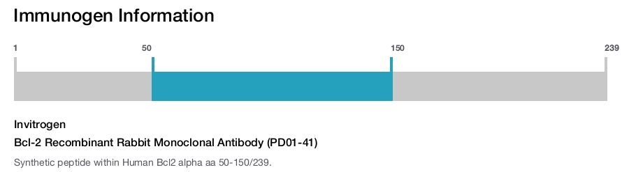 Bcl-2 Recombinant Rabbit Monoclonal Antibody (PD01-41)