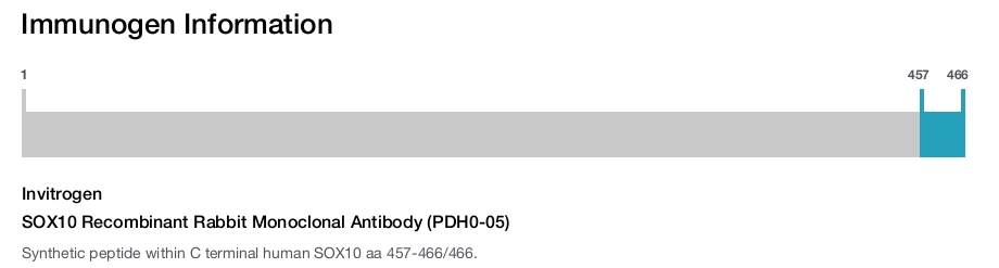 SOX10 Recombinant Rabbit Monoclonal Antibody (PDH0-05)