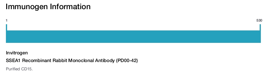 SSEA1 Recombinant Rabbit Monoclonal Antibody (PD00-42)