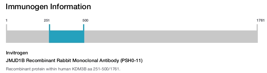 JMJD1B Recombinant Rabbit Monoclonal Antibody (PSH0-11)