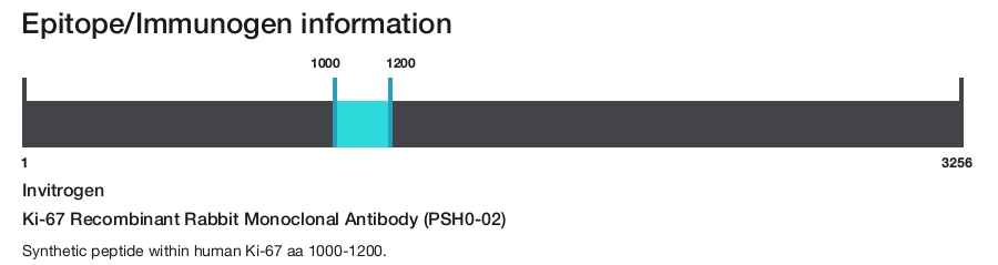 Ki-67 Recombinant Rabbit Monoclonal Antibody (PSH0-02)