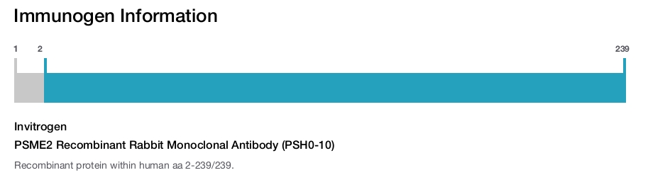 PSME2 Recombinant Rabbit Monoclonal Antibody (PSH0-10)