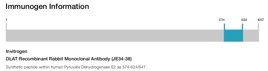 DLAT Recombinant Rabbit Monoclonal Antibody (JE34-38)