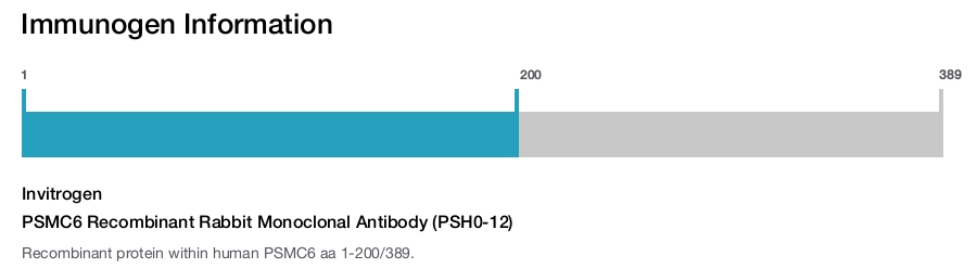 PSMC6 Recombinant Rabbit Monoclonal Antibody (PSH0-12)