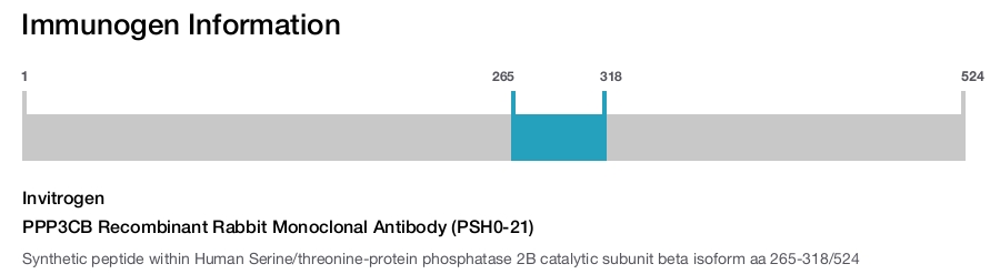 PPP3CB Recombinant Rabbit Monoclonal Antibody (PSH0-21)