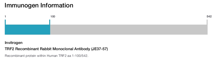 TRF2 Recombinant Rabbit Monoclonal Antibody (JE37-57)