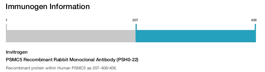 PSMC5 Recombinant Rabbit Monoclonal Antibody (PSH0-22)
