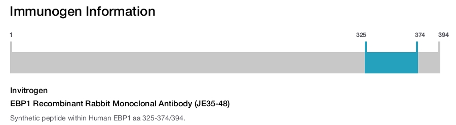 EBP1 Recombinant Rabbit Monoclonal Antibody (JE35-48)