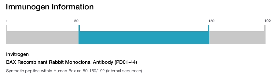 BAX Recombinant Rabbit Monoclonal Antibody (PD01-44)