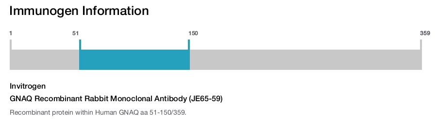 GNAQ Recombinant Rabbit Monoclonal Antibody (JE65-59)