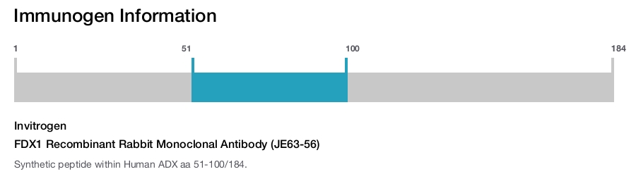 FDX1 Recombinant Rabbit Monoclonal Antibody (JE63-56)