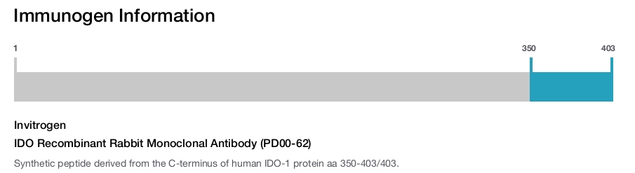 IDO Recombinant Rabbit Monoclonal Antibody (PD00-62)