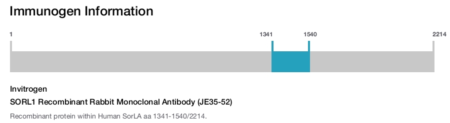 SORL1 Recombinant Rabbit Monoclonal Antibody (JE35-52)