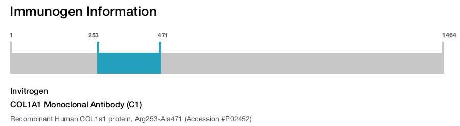 COL1A1 Monoclonal Antibody (C1)