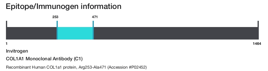 COL1A1 Monoclonal Antibody (C1)