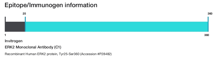 ERK2 Monoclonal Antibody (C1)