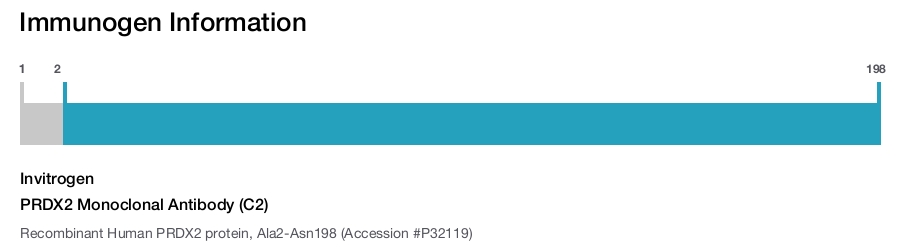 PRDX2 Monoclonal Antibody (C2)