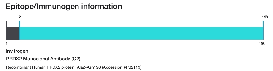 PRDX2 Monoclonal Antibody (C2)