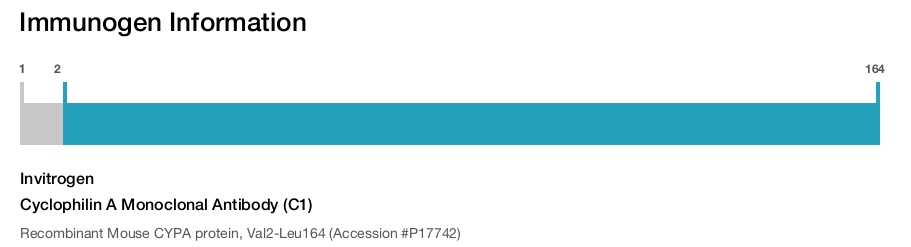 Cyclophilin A Monoclonal Antibody (C1)