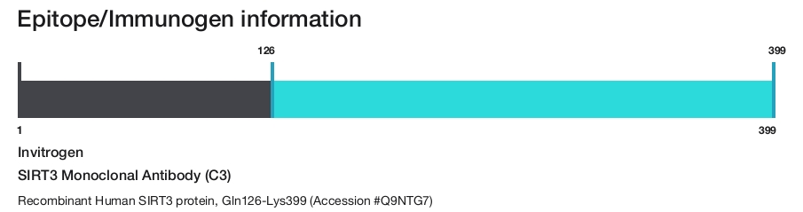 SIRT3 Monoclonal Antibody (C3)