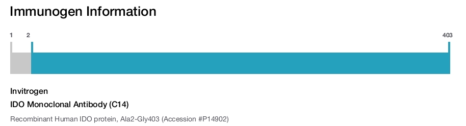 IDO Monoclonal Antibody (C14)